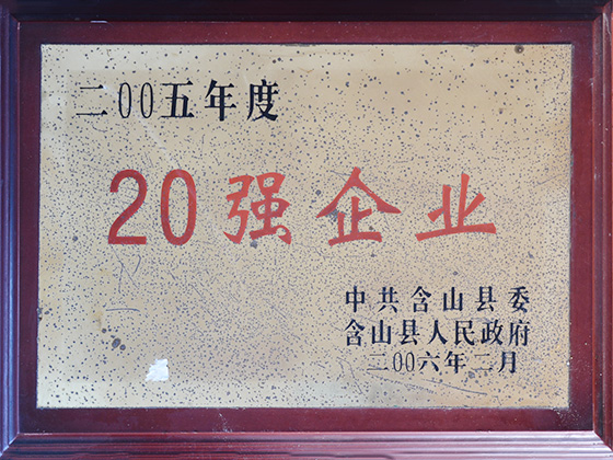 2005年度 20強企業