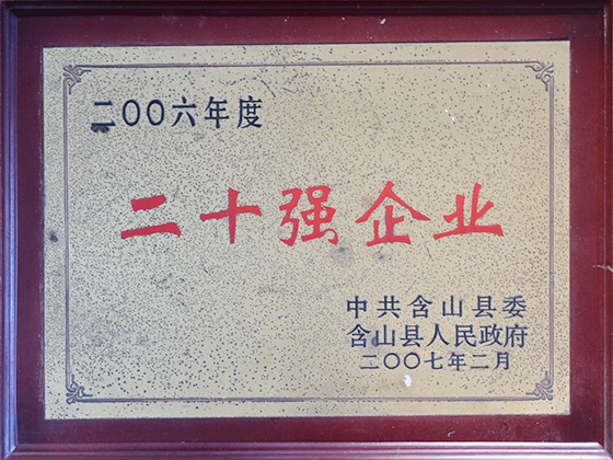 2006年度 20強(qiáng)企業(yè)