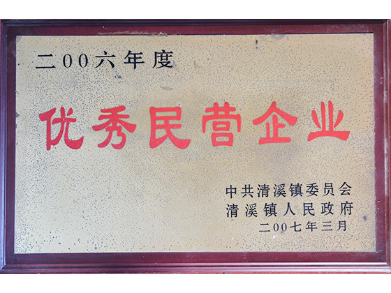 2006年度 優(yōu)秀民營企業(yè)