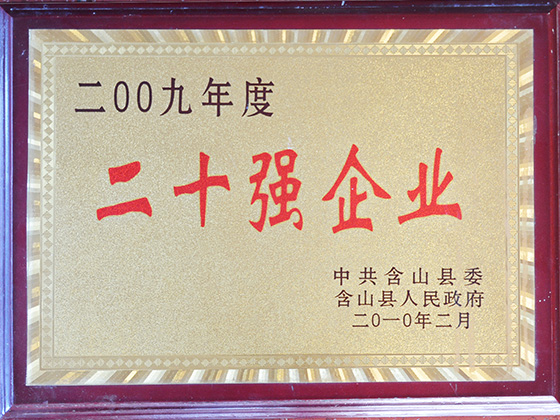 2009年度 二十強(qiáng)企業(yè)