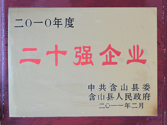 2010年度 二十強(qiáng)企業(yè)