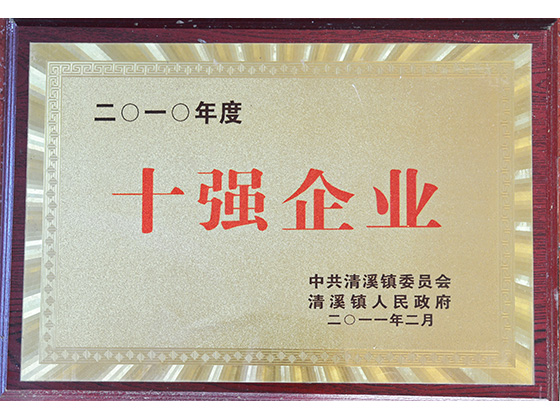 2010年度 十強(qiáng)企業(yè)