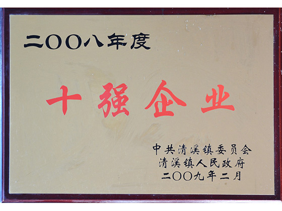 2008年度 十強(qiáng)企業(yè)