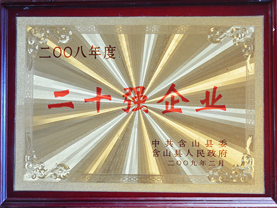 2008年度 二十強(qiáng)企業(yè)